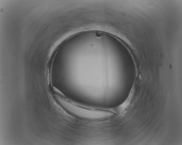 X0000077361510200611031833