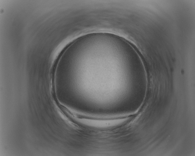 X0000077361511200611031833