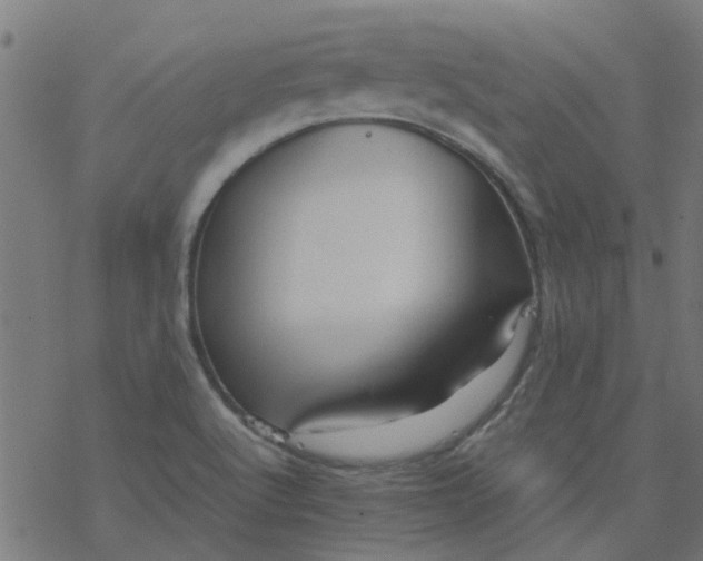 X0000077361512200611031833