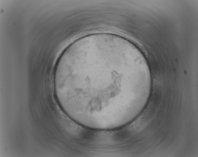 X0000077361514200611031833