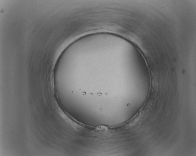 X0000077361516200611031833