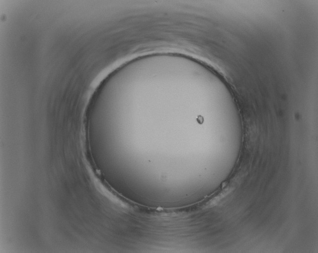 X0000077361518200611031833