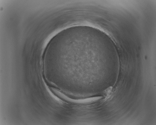 X0000077361519200611031833