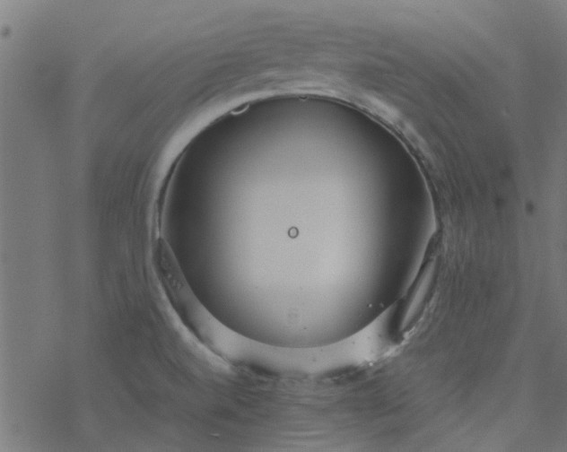 X0000077361520200611031833