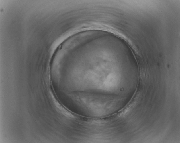 X0000077361522200611031833