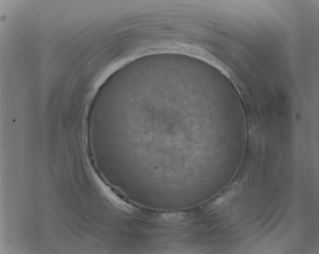 X0000077361523200611031833