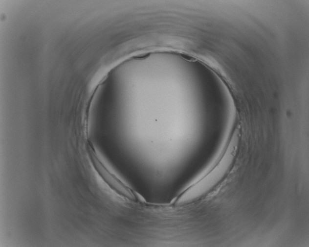 X0000077361524200611031833