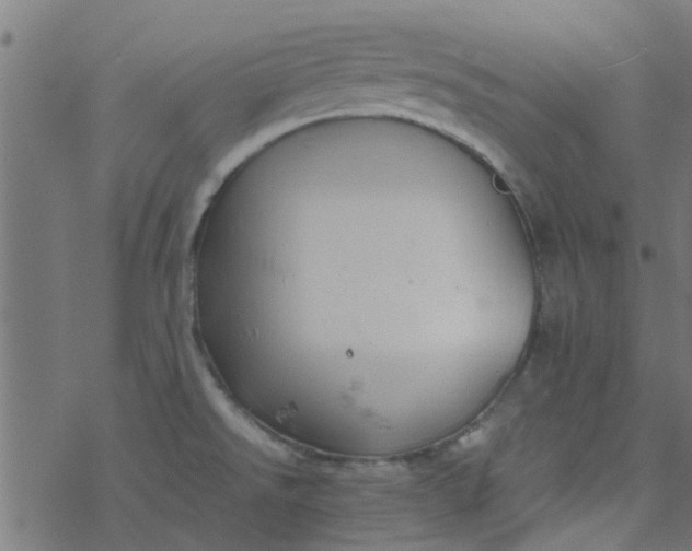 X0000077361526200611031833