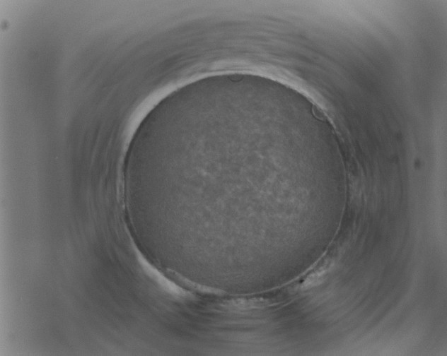 X0000077361527200611031833