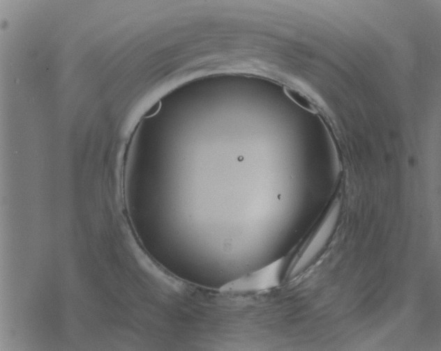 X0000077361528200611031833