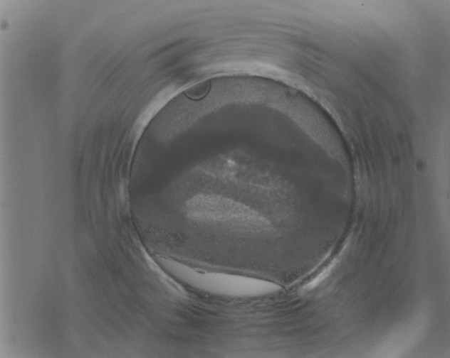 X0000077361529200611031833