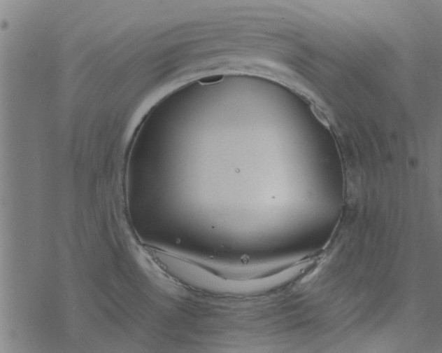 X0000077361530200611031833