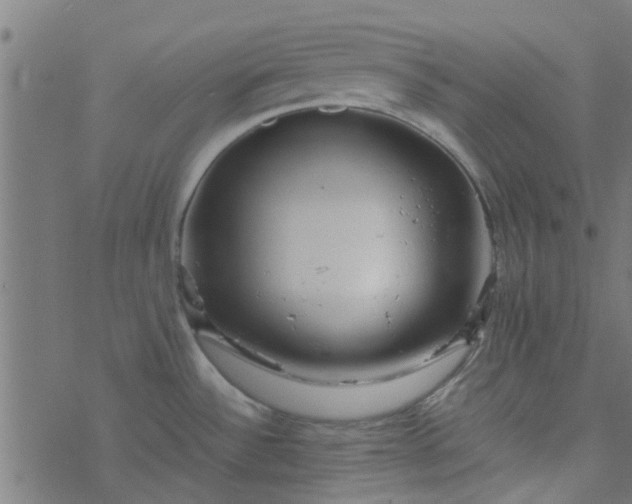 X0000077361532200611031833