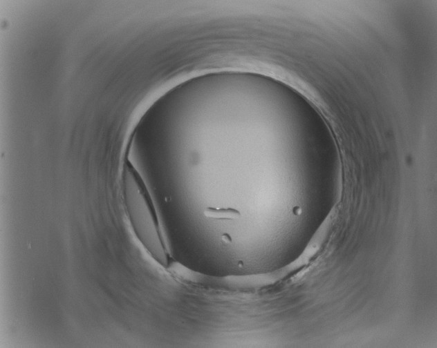 X0000077361536200611031833