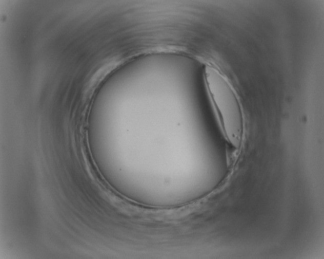 X0000077360001200611101651