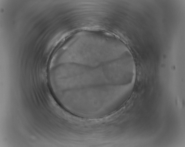 X0000077360002200611101651