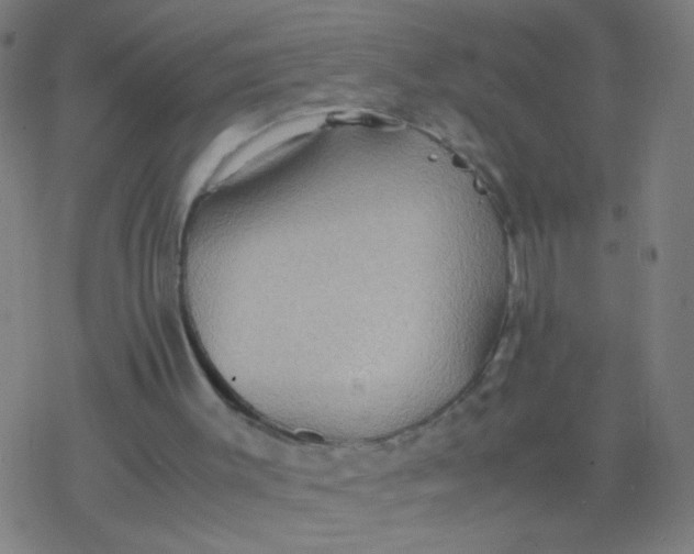 X0000077360003200611101651