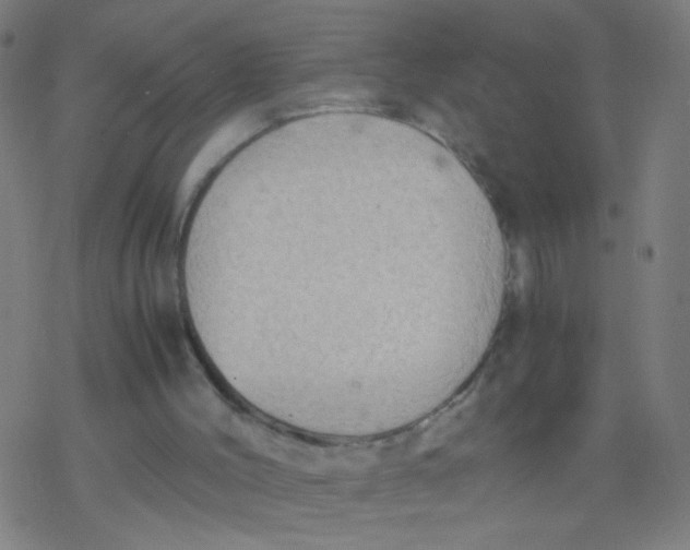 X0000077360004200611101651