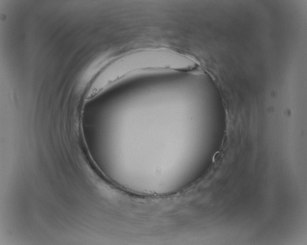 X0000077360005200611101651