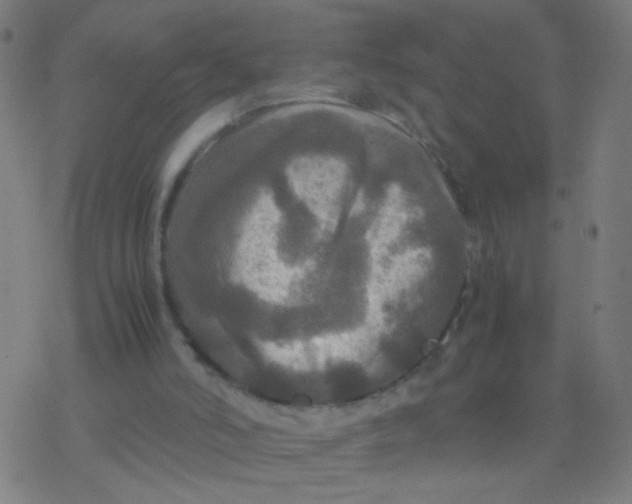 X0000077360006200611101651