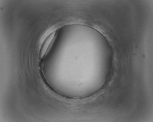 X0000077360007200611101651