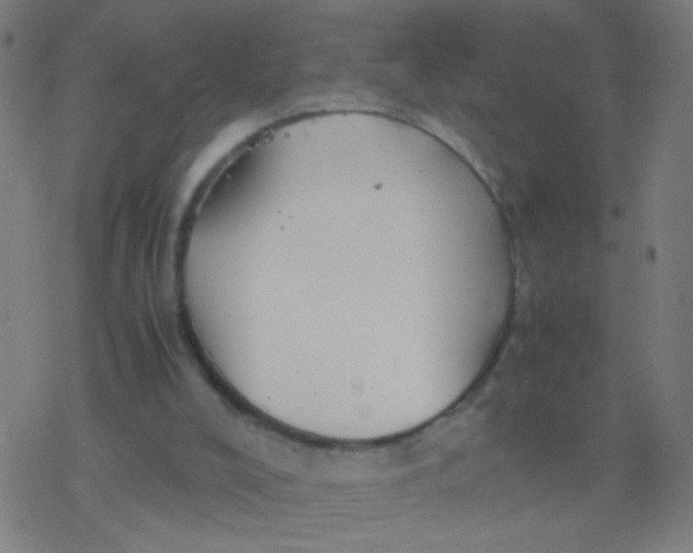 X0000077360008200611101651