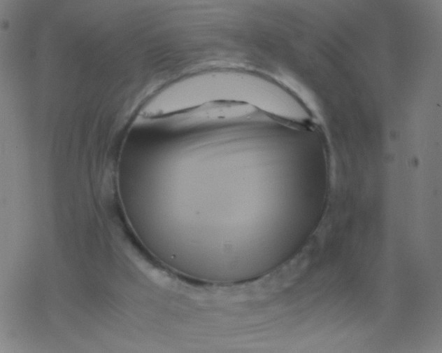 X0000077360009200611101650