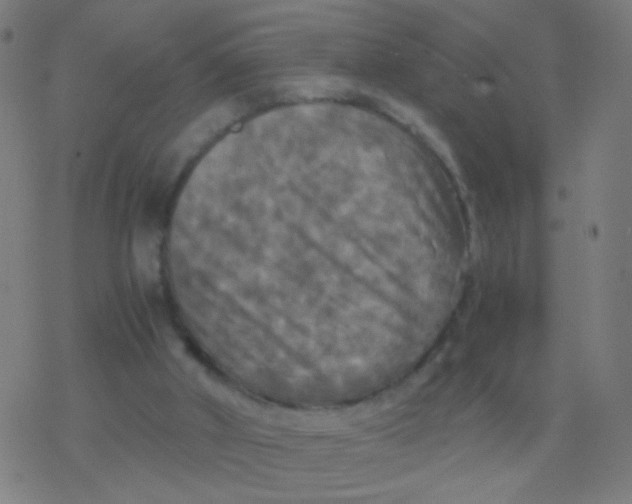 X0000077360010200611101650