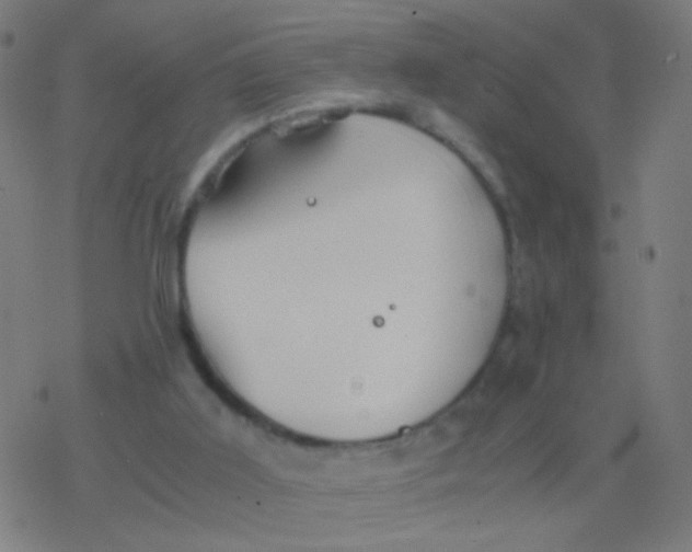 X0000077360011200611101650