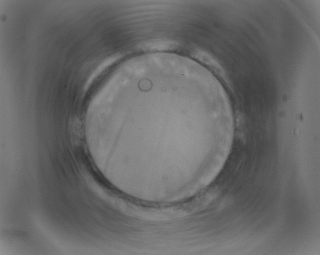 X0000077360012200611101650