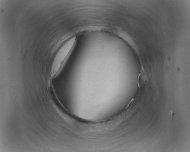 X0000077360013200611101650