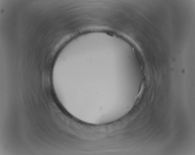 X0000077360015200611101650