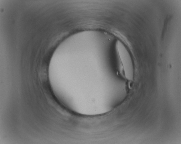 X0000077360017200611101650