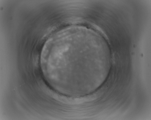 X0000077360018200611101650