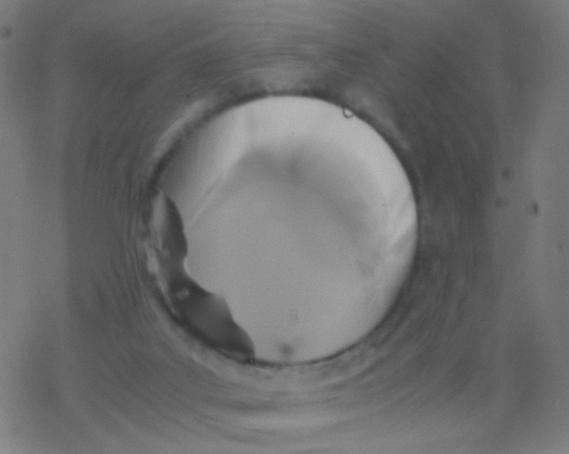 X0000077360019200611101650