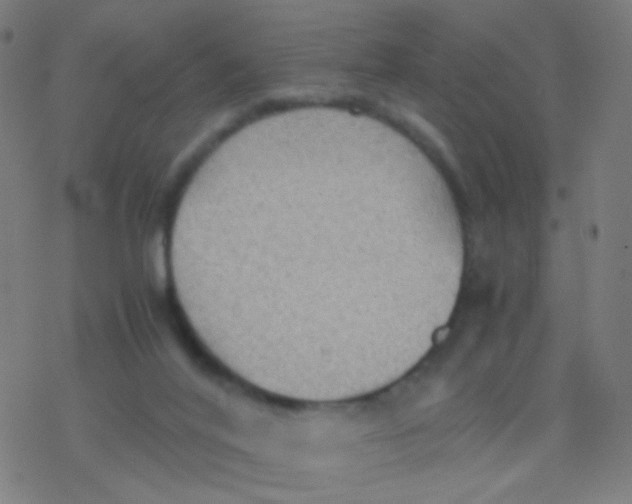 X0000077360020200611101650