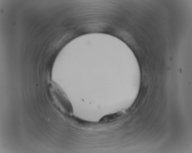 X0000077360021200611101650