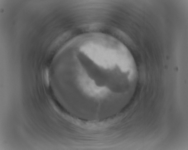 X0000077360022200611101650