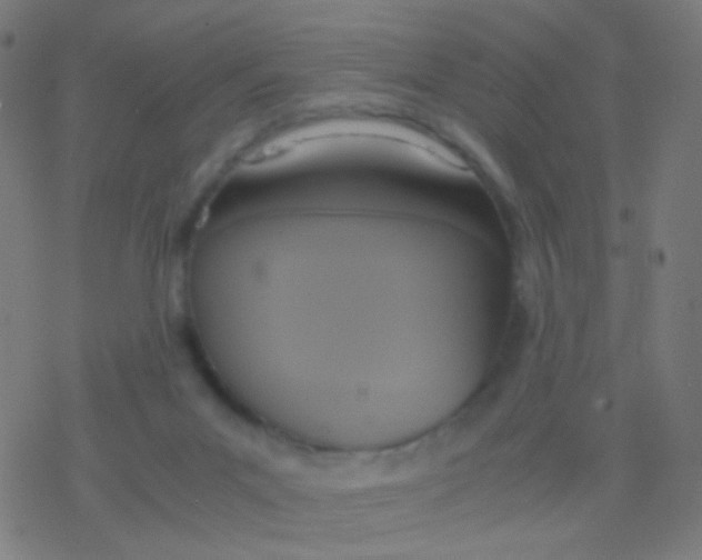 X0000077360023200611101650