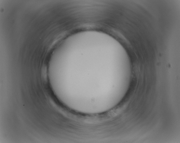 X0000077360024200611101650