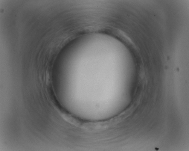 X0000077360025200611101650