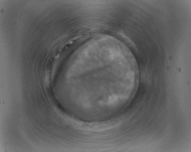 X0000077360026200611101650