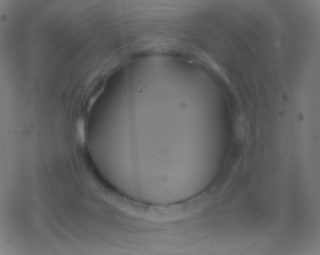 X0000077360027200611101650