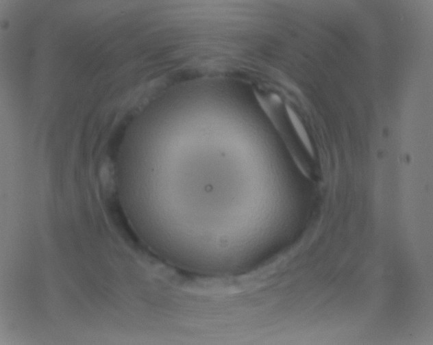 X0000077360029200611101650