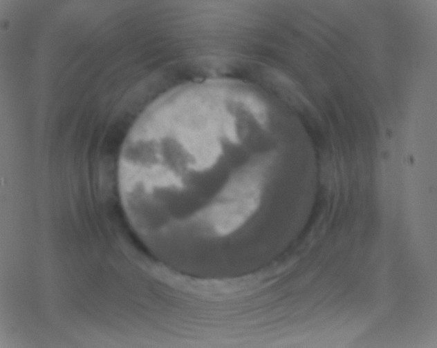 X0000077360030200611101650