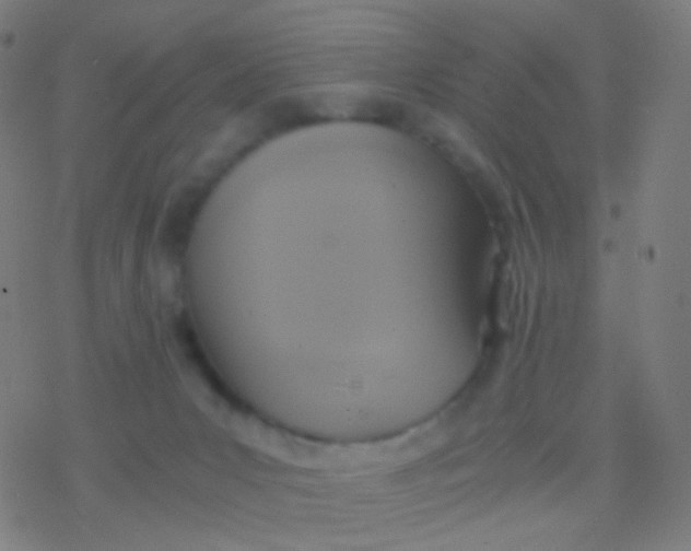 X0000077360031200611101650