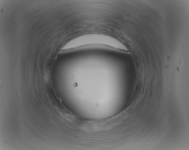 X0000077360033200611101650