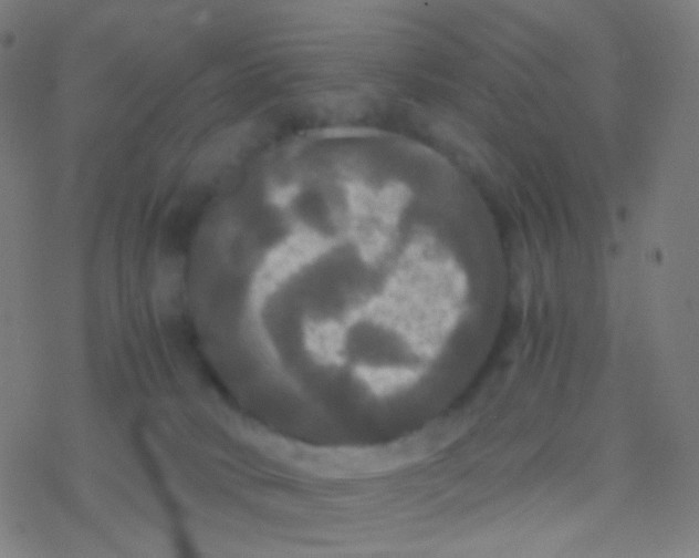 X0000077360034200611101650