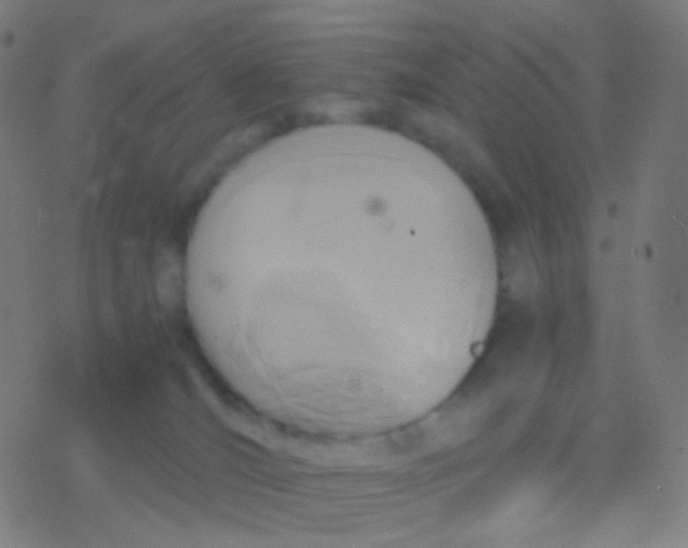 X0000077360036200611101650