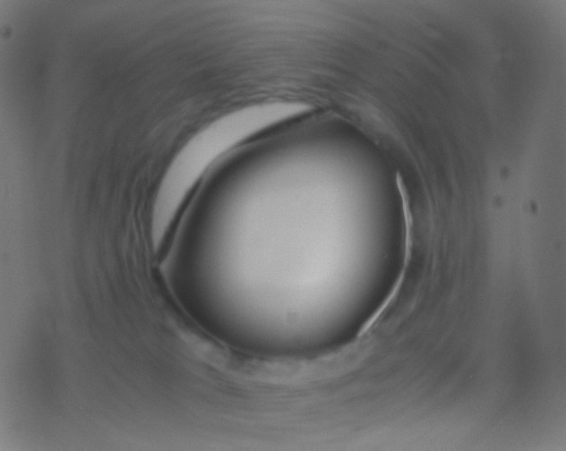 X0000077360037200611101650